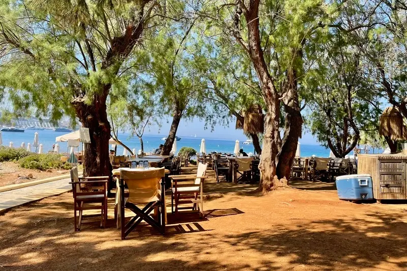 Shaded tables under pine trees at a beach club on the Athenian coast, with the sea beyond