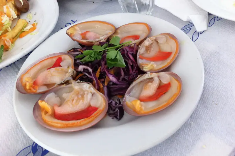 Raw clams on the half shell arranged in a circle around shredded red cabbage and parsley